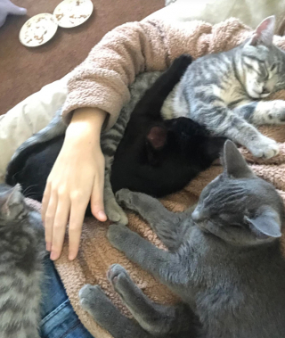 Illustration de l'article : 13 photos montrant que certaines personnes sont prêtes à tout pour leur animal de compagnie