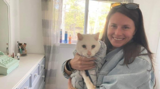 Illustration de l'article : Une dame voit la photo d'un chat en ligne et pense reconnaître celui de sa fille disparu 5 ans plus tôt