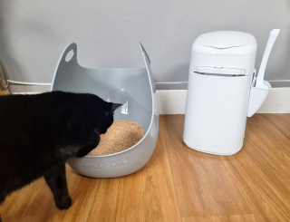 Test chat : la poubelle à litière Litter Locker - Absolument Chats