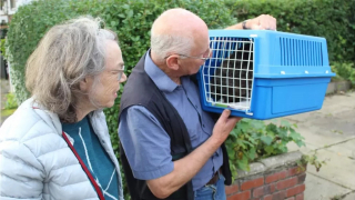 Illustration de l'article : L'angoisse pour les propriétaires d'une chatte "espiègle et curieuse" ne donnant plus signe de vie depuis 2 semaines