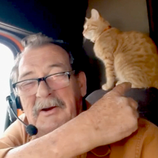 Illustration de l'article : Le passage marquant d'un chaton dans la vie d'un camionneur dont il a conquis et soigné le cœur