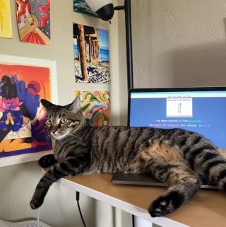 Illustration de l'article : 15 photos de chats ayant décidé que leur maître n’allait pas pouvoir travailler