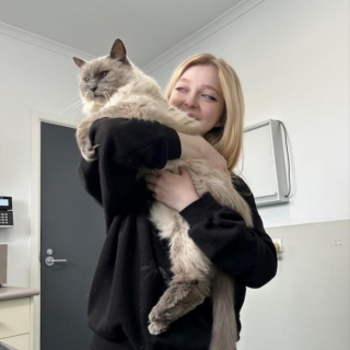Illustration de l'article : Sans nouvelles de son chat pendant 18 mois, elle tente de retrouver le héros anonyme lui ayant redonné le sourire