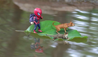 Illustration de l'article : 17 photos surprenantes où chats et chiens vivent toutes sortes d'aventures avec Spider-Man