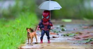 Illustration de l'article : 17 photos surprenantes où chats et chiens vivent toutes sortes d'aventures avec Spider-Man
