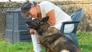 Illustration de l'article : Une vie sans amour : une chienne âgée et traumatisée tente de tirer un trait sur son passé