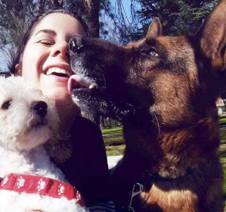 Illustration de l'article : Un chien creuse un trou dans son jardin et disparaît pendant 10 mois, avant de prouver toute sa loyauté