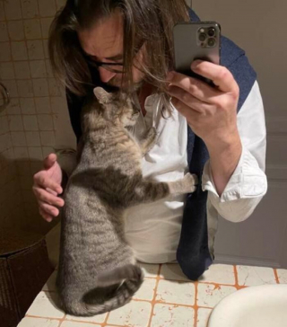 Illustration de l'article : 20 photos de chats et de chiens qui goûtent enfin au bonheur grâce à l'adoption