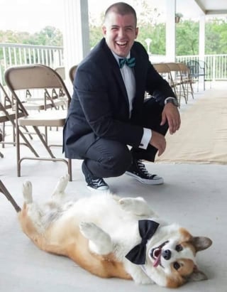 Illustration de l'article : 15 photos prouvant que la bienveillance et la bravoure sont des valeurs chères à nos chiens