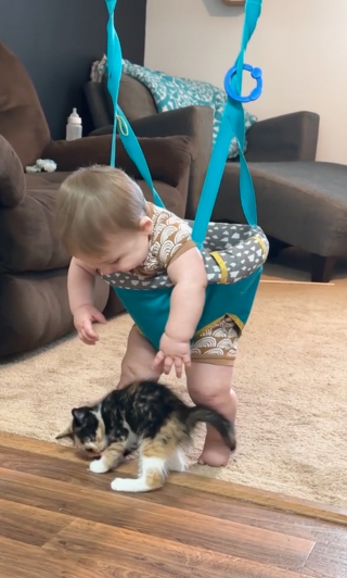 Illustration de l'article : Le rire contagieux d’un bébé qui rencontre un chaton pour la première fois  (vidéo)