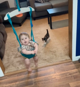 Illustration de l'article : Le rire contagieux d’un bébé qui rencontre un chaton pour la première fois  (vidéo)