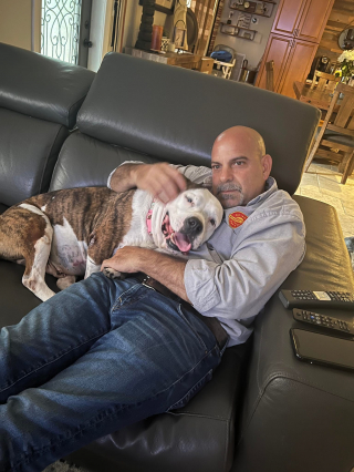 Illustration de l'article : Un nouveau départ radieux pour Samantha, la chienne de refuge au cœur brisé