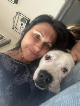 Illustration de l'article : Un nouveau départ radieux pour Samantha, la chienne de refuge au cœur brisé
