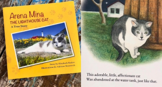Illustration de l'article : Fascinée par l'histoire du chat du phare, elle se rend sur place dans l'espoir de le rencontrer (vidéo)