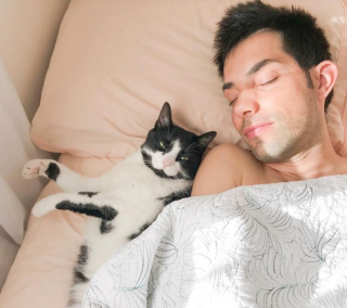 Illustration de l'article : 16 photos de chats qui ont oublié leur nature féline à force de côtoyer les humains
