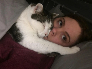 Illustration de l'article : 20 photos d’animaux qui sont vraiment très très affectueux