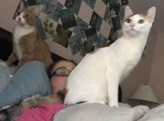 Illustration de l'article : 20 photos d’animaux qui sont vraiment très très affectueux