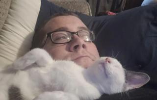 Illustration de l'article : 20 photos d’animaux qui sont vraiment très très affectueux