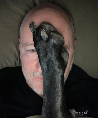 Illustration de l'article : 20 photos d’animaux qui sont vraiment très très affectueux