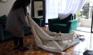 Illustration de l'article : Un chien de refuge est heureux d’aider sa nouvelle propriétaire à faire le ménage (vidéo)