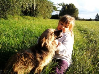 Illustration de l'article : 2 chiens loyaux veillent sur leur jeune humaine de 2 ans perdue en forêt