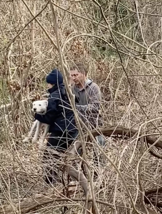 Illustration de l'article : Retrouvailles émouvantes entre une chienne sauvée à 2 reprises et ses chiots après des débuts difficiles