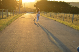 Illustration de l'article : Pourquoi le sport est-il important chez le chien ?
