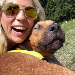 Illustration de l'article : Élevés pour se battre, ces 29 chiens doivent réapprendre à vivre dans l’amour et l’harmonie pour éviter une mesure administrative redoutée