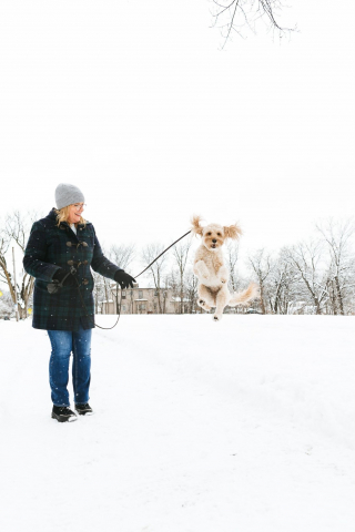 Illustration de l'article : L'épatante technique d’une chienne pour avertir tout son bâtiment d’un danger imminent