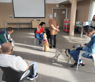 Illustration de l'article : Ces chiens héros aident des personnes souffrant de pathologies psychiatriques à "mieux gérer l’angoisse et l’anxiété"