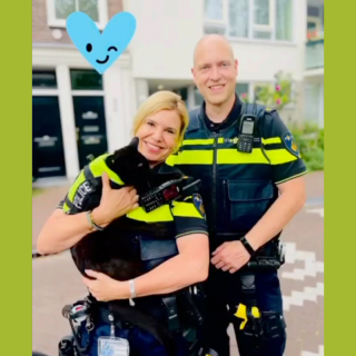 Illustration de l'article : À cause de sa maladresse, ce chat noir espiègle est devenu chat policier dans une grande ville touristique