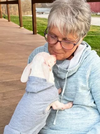 Illustration de l'article : Piglet le célèbre chien sourd et muet vit une rencontre émouvante avec une "fan" qu'il a aidée à se ressaisir au moment où elle était au plus bas