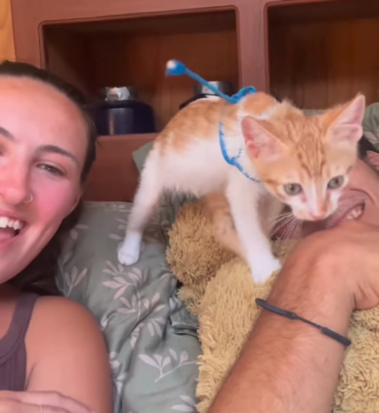 Illustration de l'article : Un an apr&egrave;s avoir &eacute;t&eacute; adopt&eacute;e, Madeline, la chatte vivant sur un bateau, f&ecirc;te ce premier anniversaire