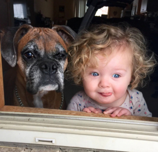 Illustration de l'article : 17 photos rappelant à quel point nos vies sont embellies par les chiens