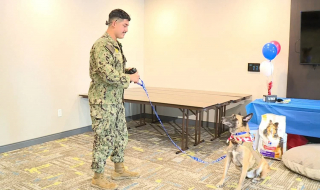 Illustration de l'article : Un chien réformé de l'armée et son maître se retrouvent après un an et demi de séparation grâce à une association