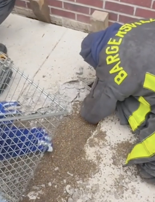 Illustration de l'article : Des pompiers se mobilisent pour aller à la rencontre d’un chat coincé dans les fondations d’une maison (vidéo)