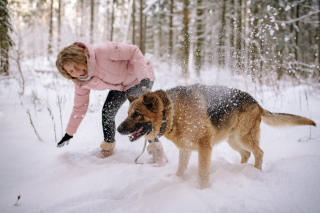 Illustration de l'article : 10 activités à partager avec votre chien ou votre chat au moment des fêtes