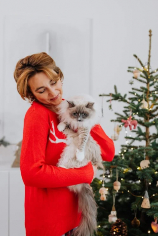 Illustration de l'article : 10 activités à partager avec votre chien ou votre chat au moment des fêtes