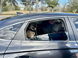 Illustration de l'article : Un chien disparu 8 mois plus tôt mobilise toute une communauté à 2000 kilomètres de l'endroit où vit sa famille