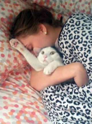 Illustration de l'article : 10 photos de chats pour qui les câlins n'étaient pas les bienvenus