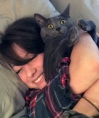 Illustration de l'article : 10 photos de chats pour qui les câlins n'étaient pas les bienvenus