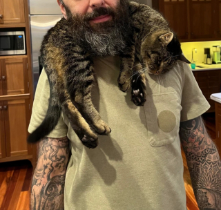 Illustration de l'article : 15 photos qui montrent que vivre avec un chat vaut mieux que n’importe laquelle des thérapies