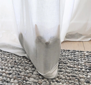 Illustration de l'article : 15 photos qui montrent que vivre avec un chat vaut mieux que n’importe laquelle des thérapies