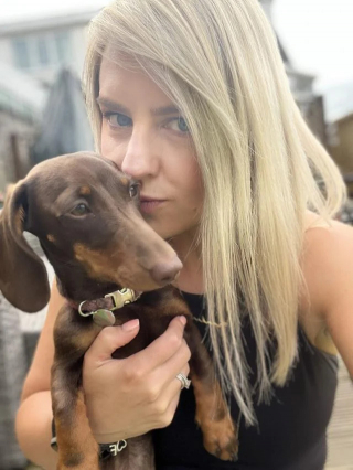 Illustration de l'article : Pour sauver Lola, un minuscule chiot, des vétérinaires tentent une chirurgie cardiaque complexe qui pourrait lui être fatale
