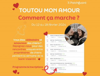 Illustration de l'article : Le lien unique entre les chiens et leurs propriétaires célébré lors de l'évènement spécial "Toutou Mon Amour" organisé à Strasbourg