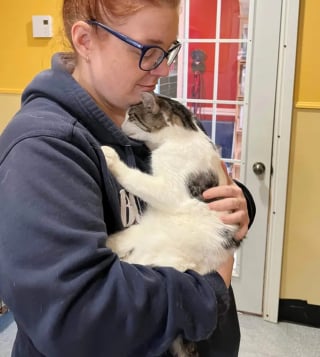 Illustration de l'article : Un couple endeuillé se rend au refuge pour adopter un chat et en ressort les bras chargés