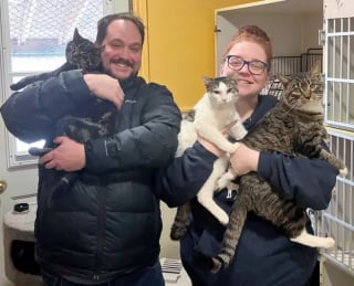 Illustration de l'article : Un couple endeuillé se rend au refuge pour adopter un chat et en ressort les bras chargés