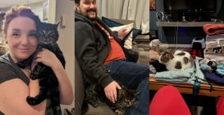 Illustration de l'article : Un couple endeuillé se rend au refuge pour adopter un chat et en ressort les bras chargés