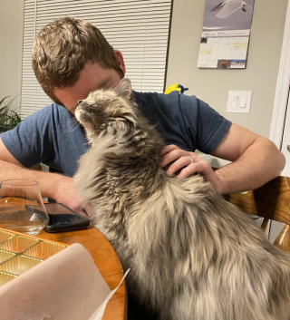 Illustration de l'article : 17 photos montrant que ce sont littéralement les chats qui choisissent leur humain préféré