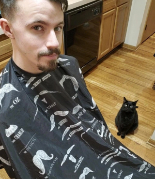 Illustration de l'article : 17 photos montrant que ce sont littéralement les chats qui choisissent leur humain préféré